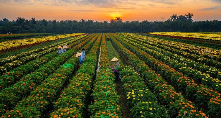 Le Meilleur du Sud du Vietnam - Swallow Travel 2