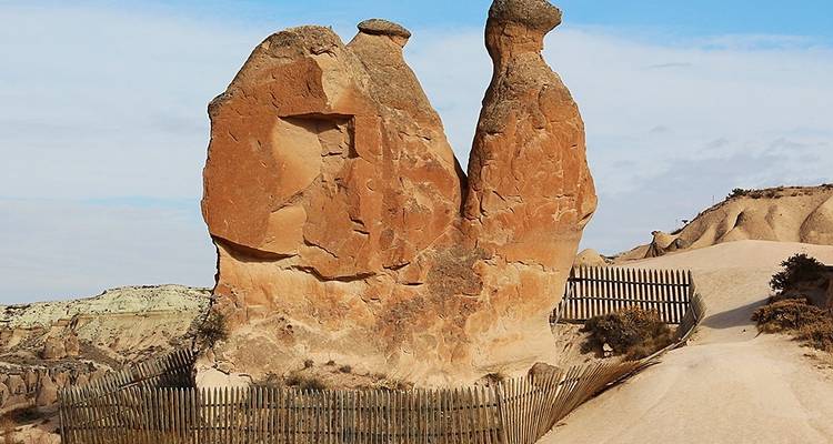 Kamelfömige Felsformation, die zum Schutz eingezäunt ist.