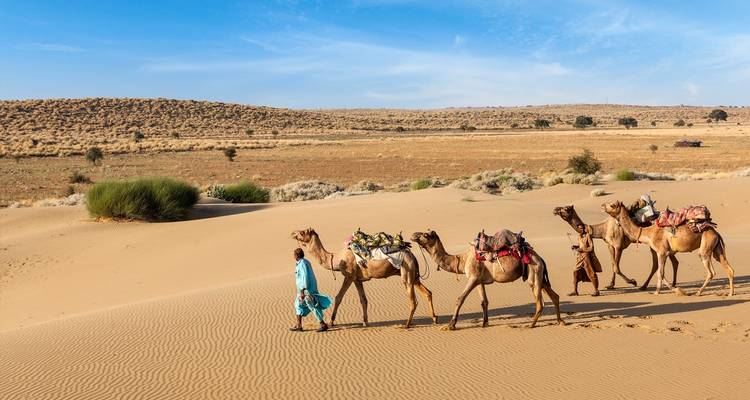 14 Day Rajasthan Desert Tour - From Taj Mahal to Thar Desert - Joyful Holidays 7