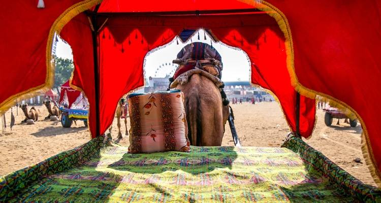 14 Day Rajasthan Desert Tour - From Taj Mahal to Thar Desert - Joyful Holidays 4