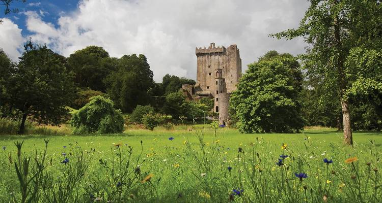 Evergreen Ireland South - 7 Days/6 Nights - CIE Tours 2
