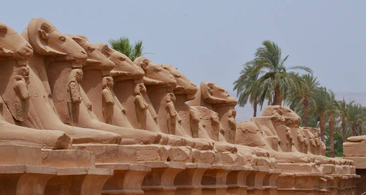 Croisière 5 étoiles sur le Nil d'Assouan à Louxor - 4 jours avec repas et visites privées, visite guidée - Egypt Direct Tours 10