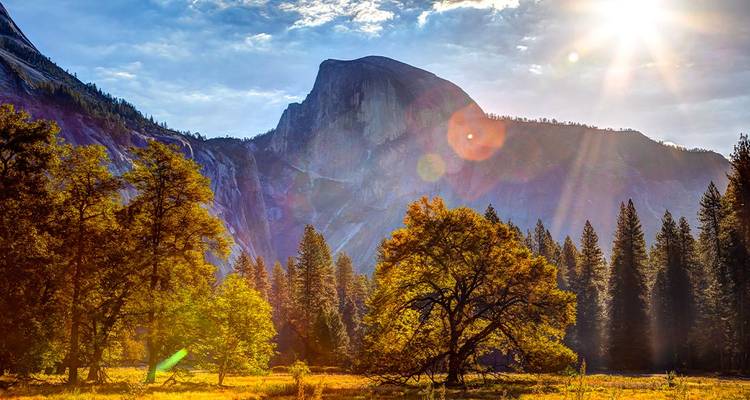 Trek dans le parc national de Yosemite - Intrepid Travel 4