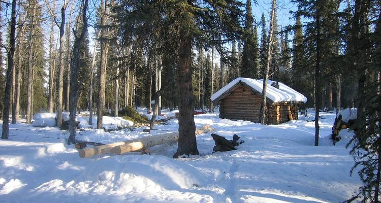 Hiking in Denali National Park - Intrepid Travel 10