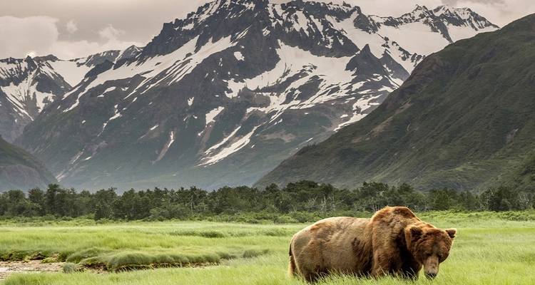 Hiking in Denali National Park - Intrepid Travel 1