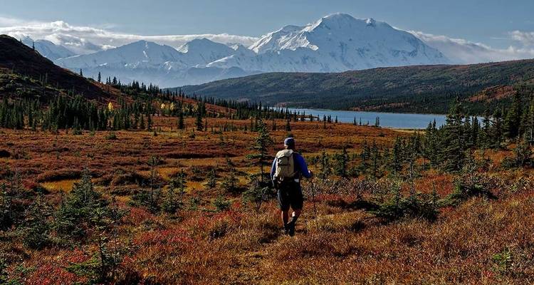 Hiking in Denali National Park - Intrepid Travel 4