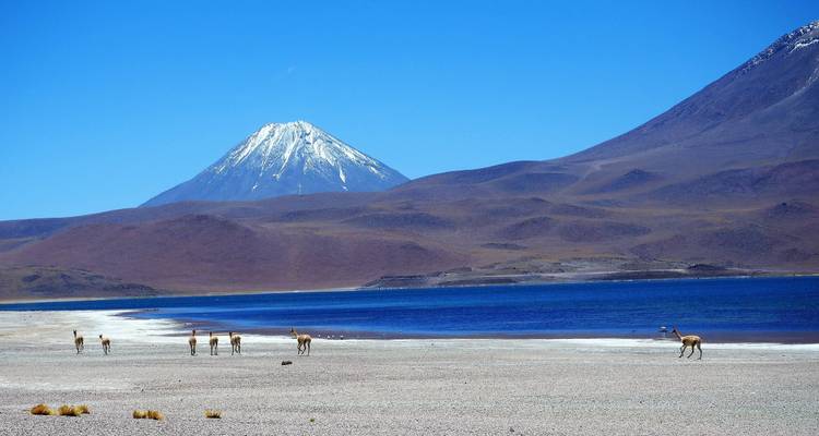 Expérience culturelle et naturelle dans les Andes - EUROLATINO Tour Operators 8