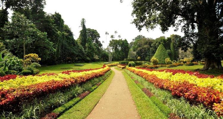 Maravillosa Sri Lanka, viaje privado - Aitken Spence Travel 4
