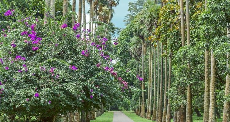 Maravillosa Sri Lanka, viaje privado - Aitken Spence Travel 2