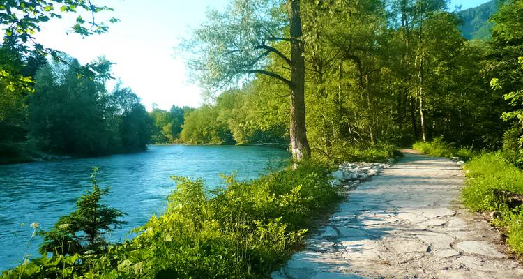 Baumgesäumter Uferweg mit türkisfarbenem Wasser, das an einem sonnigen Tag neben einem Steinpfad fließt.