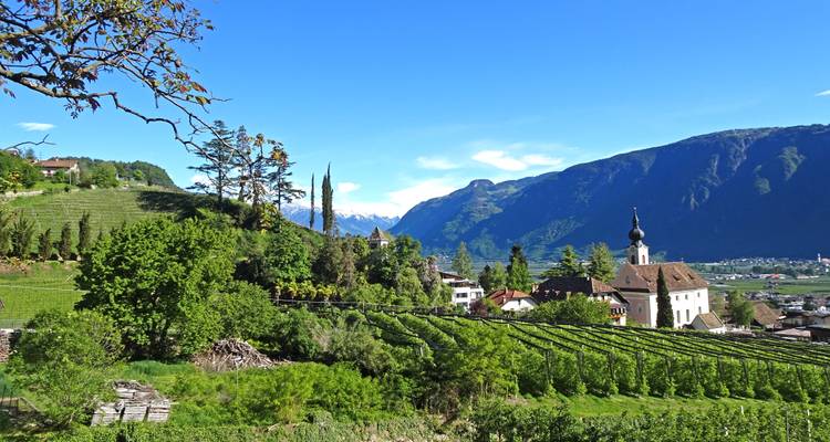 Innsbruck - Lac de Garde Sportif à travers les vergers et les vignobles (8 jours) - ASI Reisen 6