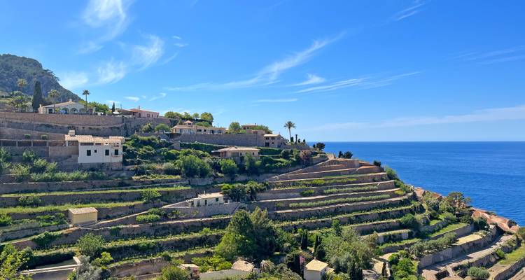 Gelaagde stenen terrassen met citrusbomen tumelen naar de diepblauwe Middellandse Zee onder een heldere hemel aan de noordwestkust van Mallorca.