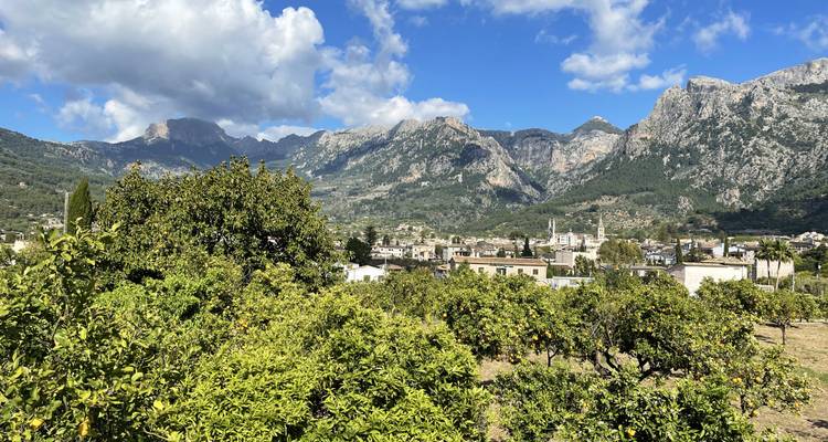 Panoramisch uitzicht over een dorp omringd door citrusboomgaarden met rotsachtige Tramuntana-bergen op de achtergrond.