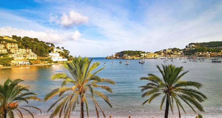 Palmbomen omlijsten de beschutte baai van Port de Sóller gevuld met jachten onder zacht middaglicht.