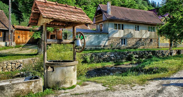 Scène de village rural avec des maisons et un puits.