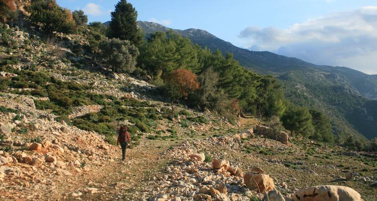 Person hiking on a rocky trail with mountains and trees in the background.