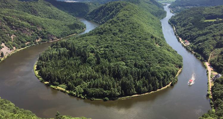 Vue aérienne d'une rivière sinueuse traversant des forêts verdoyantes luxuriantes.