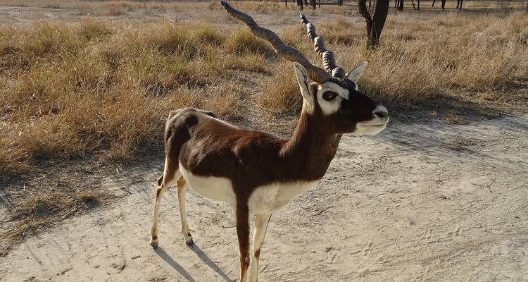 Circuito por la fauna de MP - Alkof Holidays 3