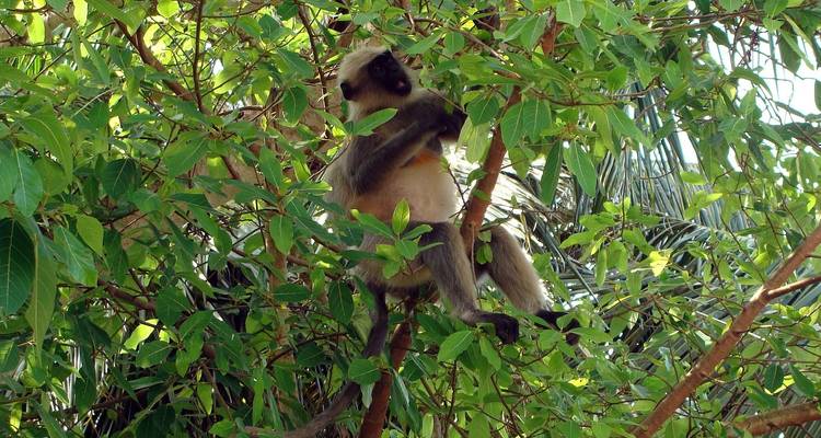 Circuito por la fauna de MP - Alkof Holidays 4