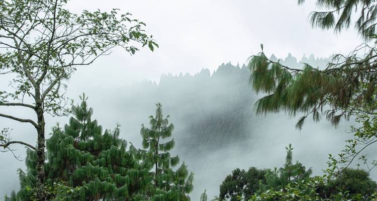 Golden Triangle Tour with Darjeeling Tea Estates - Alkof Holidays 2