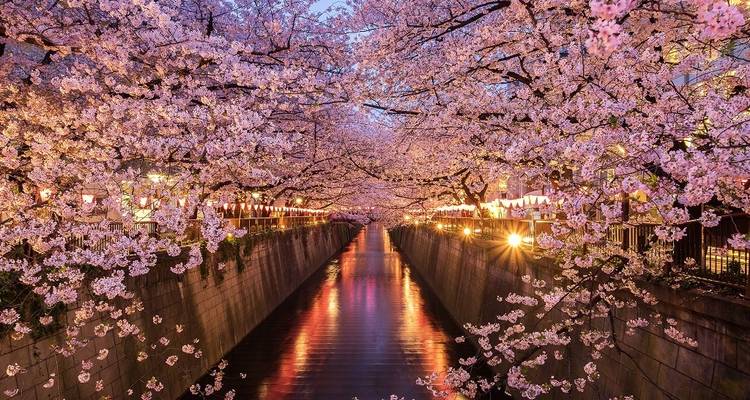 Japon ultime - Travel Talk 7