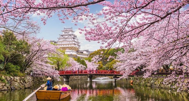 Japon ultime - Travel Talk 2