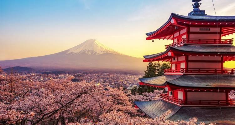 Japon ultime - Travel Talk 8