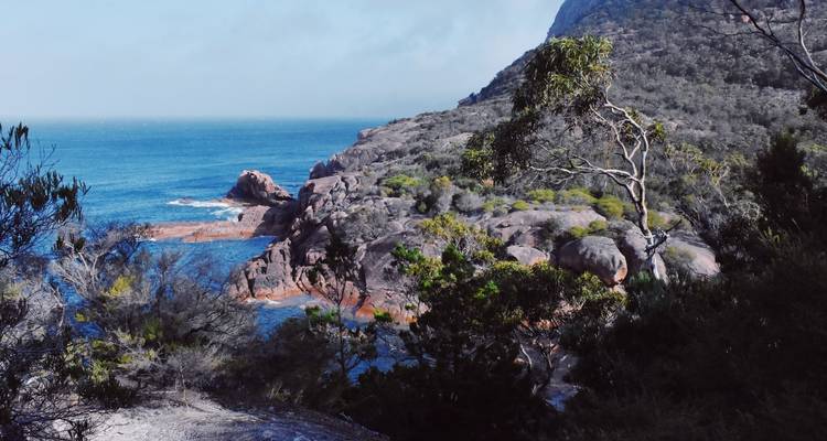 Rotsachtige kustlijn met kuststruiken en oceaangolven.