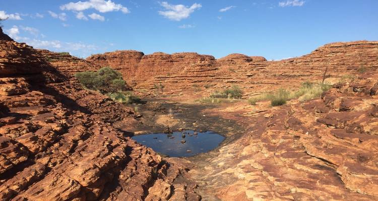 Uluru and Kata Tjuta Experience (Short Break, 3 Days) - AAT Kings 4