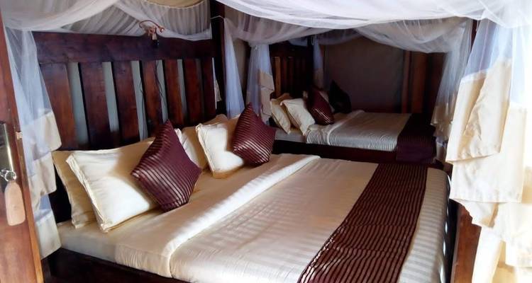 Zwei ordentlich gemachte Betten mit Moskitonetzen in einer rustikalen Unterkunft.