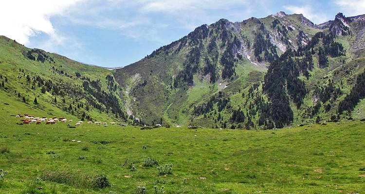 Pyrenees National Park (CAUTERETS) - Self-guided hiking tour - Traventuria 4