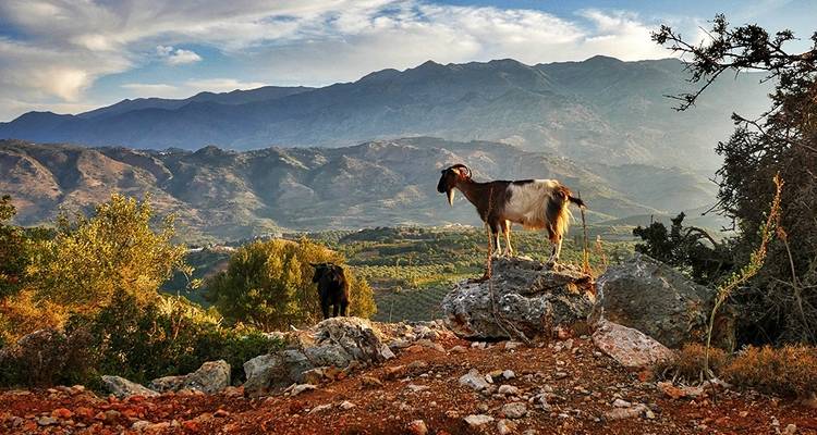 Crète : Trek d'une côte à l'autre - Trek autoguidée - Traventuria 1