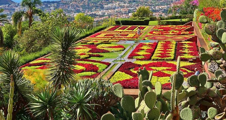 Madeira: rutas de senderismo "Levada" - circuito autoguiado - Traventuria 8