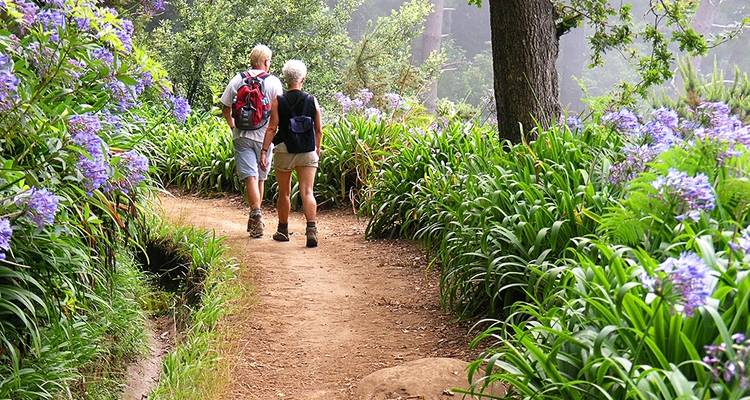 Madère : sentiers de Trek "Levada" - visite autonome - programme prolongé - Traventuria 6