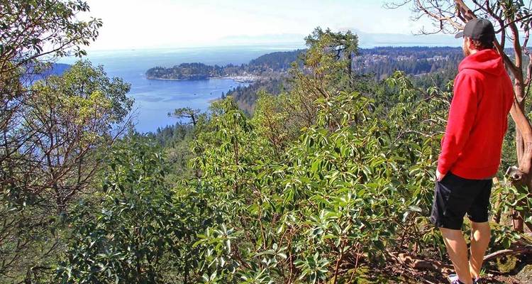 Aventura de verano a pie en la costa Sunshine - Intrepid Travel 1