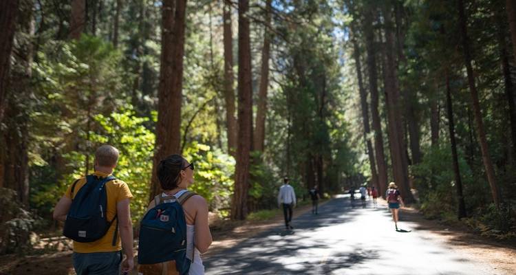 Aventura de verano a pie en la costa Sunshine - Intrepid Travel 7