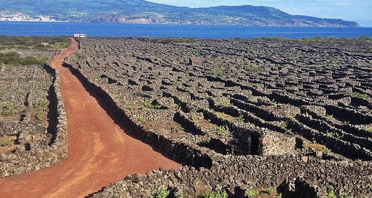 Azores: Explorador de Pico, Faial y São Jorge - circuito autoguiado a pie - Traventuria 3