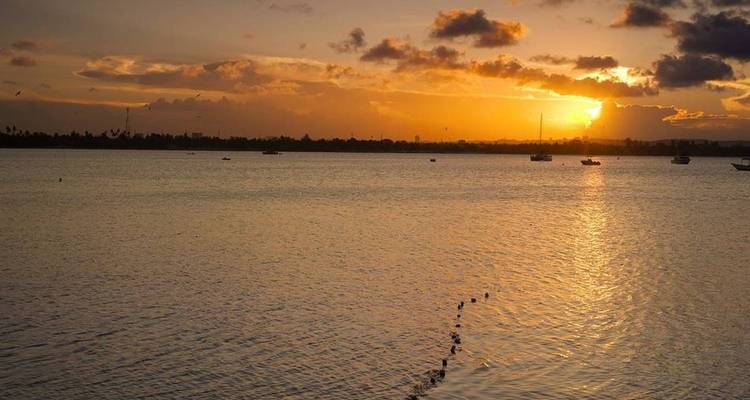Safari big 5 dans le sud de la Tanzanie - 6 jours
 - Great Lake Expedition 1