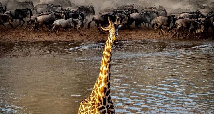 Safari big 5 dans le sud de la Tanzanie - 6 jours
 - Great Lake Expedition 3