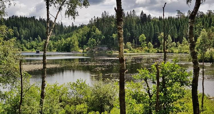Lac entouré d'un paysage boisé.