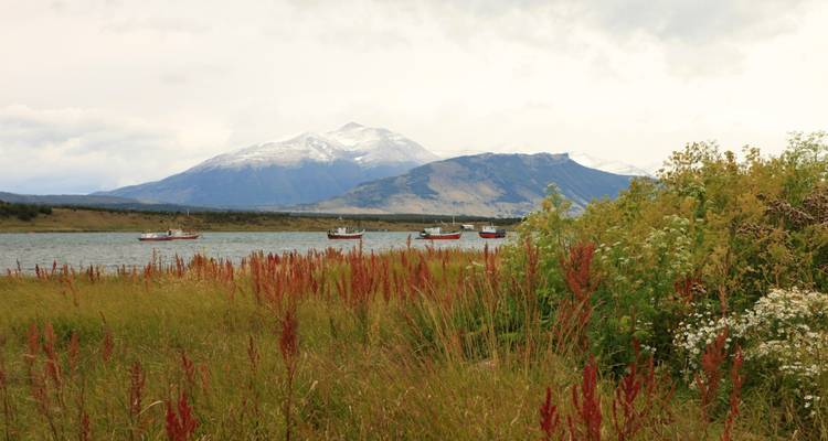 5 jours d'expérience unique pour les amateurs de Running et d'Extreme à Torres del Paine - Signature DMC 7