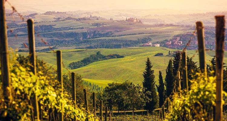 Tuscany: hilltop towns of Val d’Orcia & Siena (Self-guided Walking Tour) - Traventuria 4