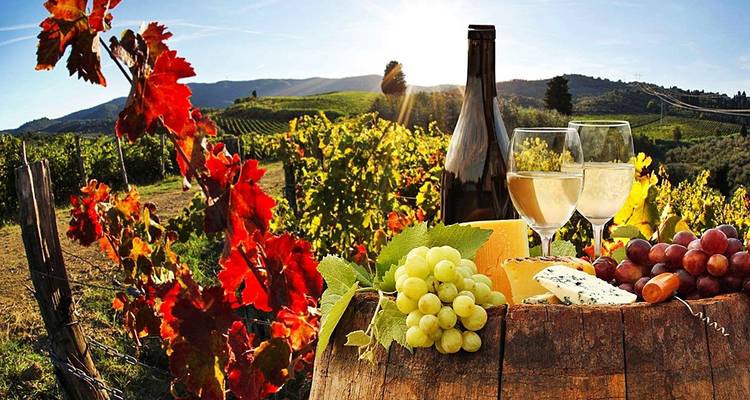 Toscane : villes perchées du Val d'Orcia et de Sienne - visite guidée à pied - Traventuria 10