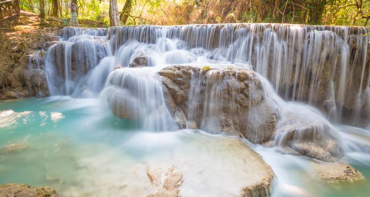 Waterfall flowing into a pool surrounded by trees