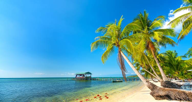 Sandy beach with palm trees and a dock leading to a house in Phu Quoc Island.