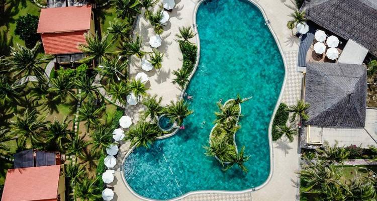 Vista aérea de una piscina de resort rodeada de vegetación y tumbonas.