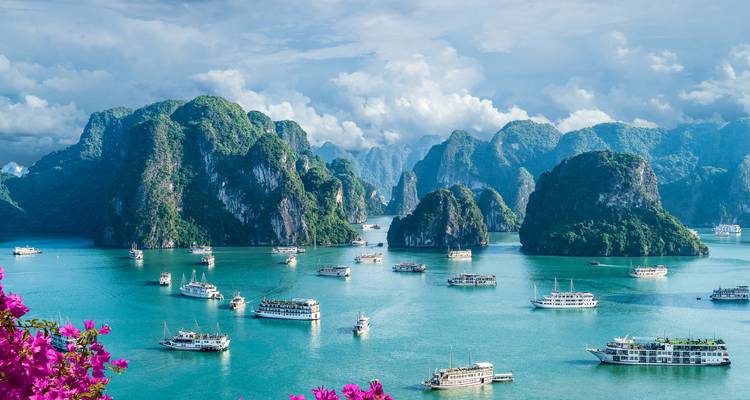 Vista panorámica de barcos en la Bahía de Halong con exuberante vegetación.