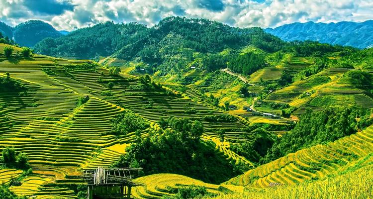 Vietnam & Bathing in Phan Thiet (incl. flight) Private Active Tour - Bavaria Fernreisen 1