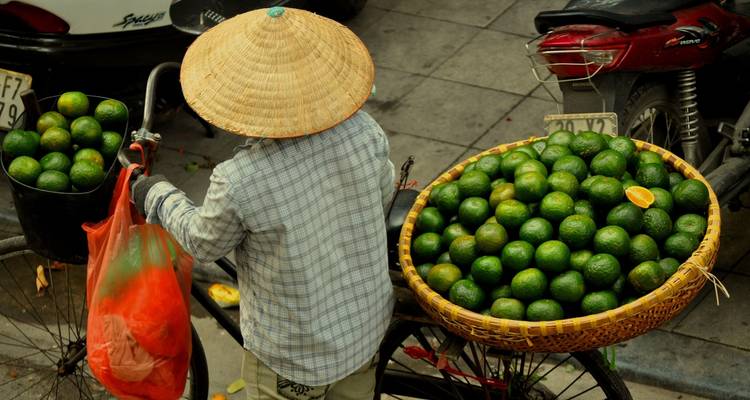 Vietnam & Bathing in Phan Thiet (incl. flight) Private Active Tour - Bavaria Fernreisen 4