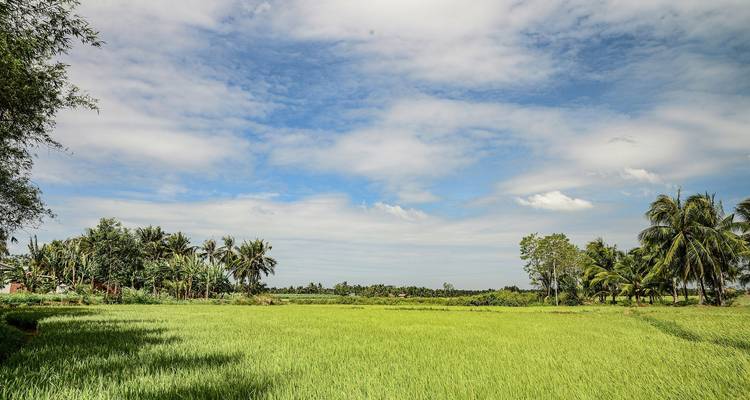 Vietnam & Cambodia: Private Tour & Bathing on Phu Quoc (incl. flight) - Bavaria Fernreisen 9